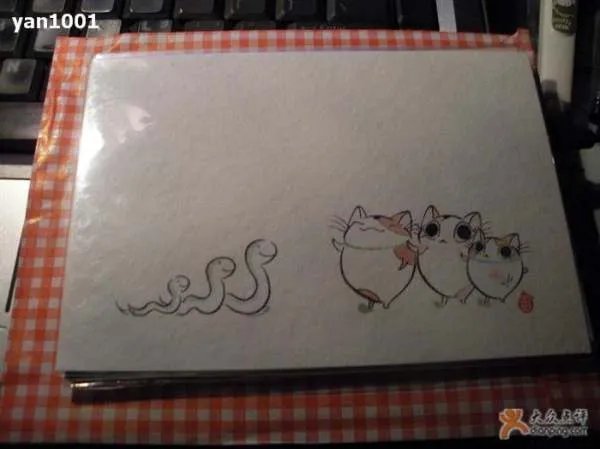 猫舍道乐堂本铺的真假辨别