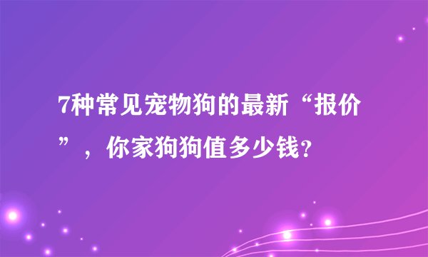 7种常见宠物狗的最新“报价”，你家狗狗值多少钱？