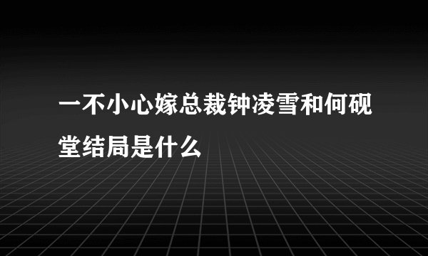一不小心嫁总裁钟凌雪和何砚堂结局是什么