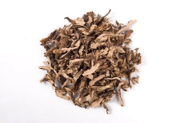 中药桑寄生的用量是多少克