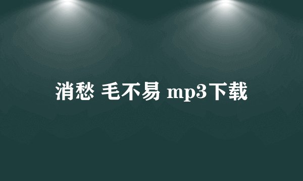 消愁 毛不易 mp3下载