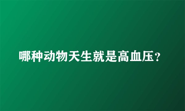 哪种动物天生就是高血压?