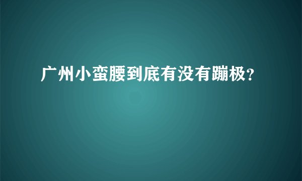 广州小蛮腰到底有没有蹦极？