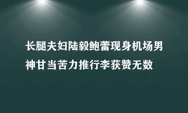 长腿夫妇陆毅鲍蕾现身机场男神甘当苦力推行李获赞无数