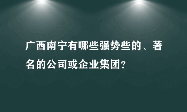 广西南宁有哪些强势些的、著名的公司或企业集团？