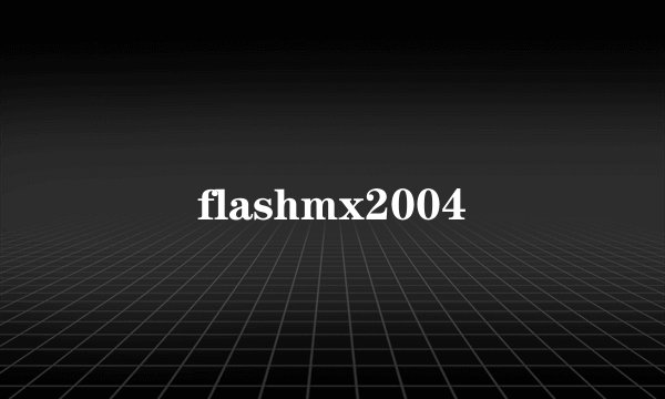 flashmx2004