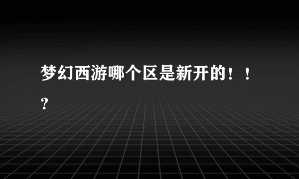 梦幻西游哪个区是新开的！！？