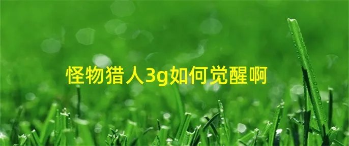 怪物猎人3g如何觉醒啊