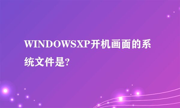 WINDOWSXP开机画面的系统文件是?