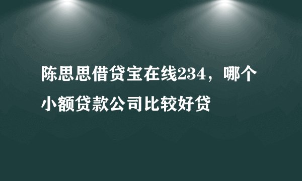 陈思思借贷宝在线234,哪个小额贷款公司比较好贷
