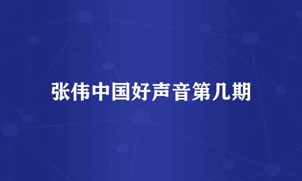 张伟中国好声音第几期