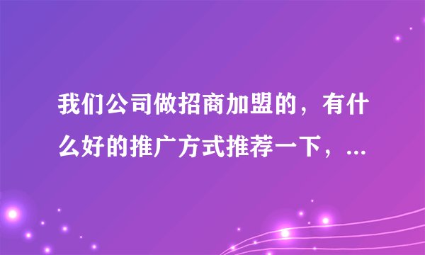 我们公司做招商加盟的，有什么好的推广方式推荐一下，十分感谢！付费的，免费的都可以