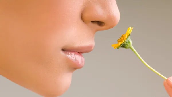 医用硅胶假体隆鼻的优点是什么？
