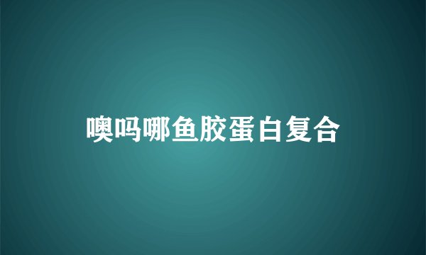 噢吗哪鱼胶蛋白复合