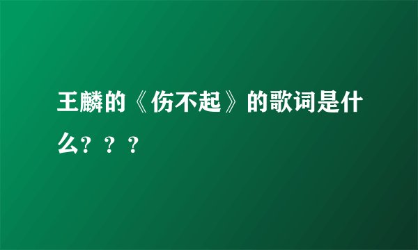 王麟的《伤不起》的歌词是什么???