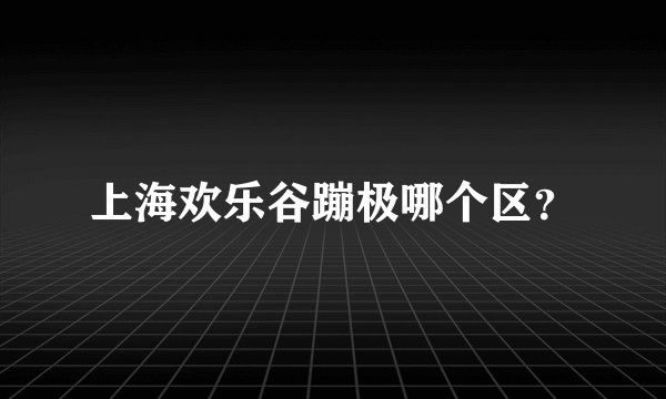 上海欢乐谷蹦极哪个区？