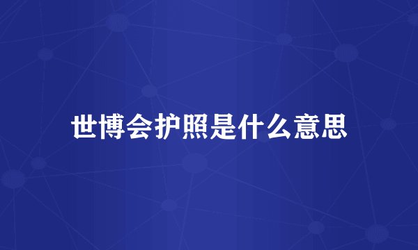 世博会护照是什么意思