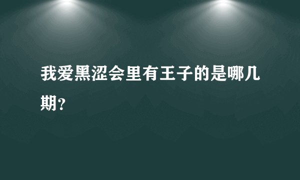 我爱黑涩会里有王子的是哪几期？