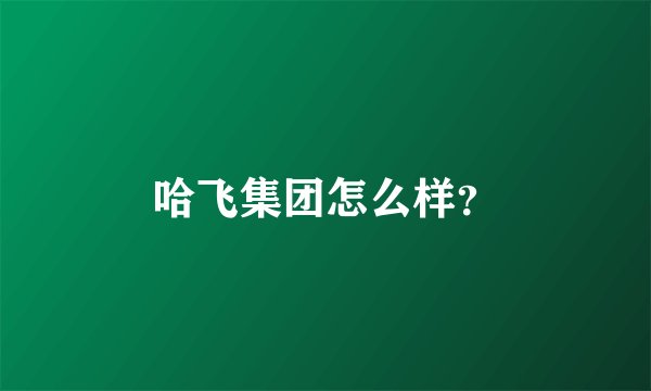 哈飞集团怎么样？