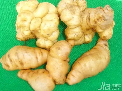 生地的功效与作用及食用方法