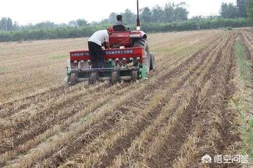 民间说:“最怕端午节水,不怕七月半鬼”到底是什么意思?