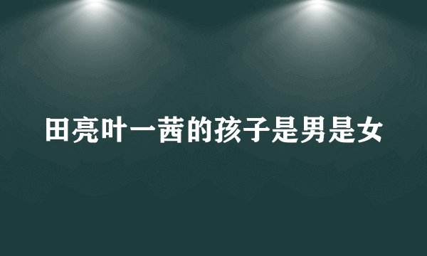 田亮叶一茜的孩子是男是女