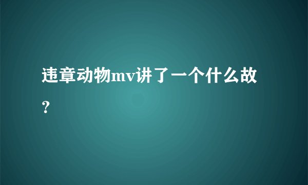 违章动物mv讲了一个什么故?