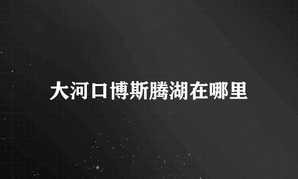 大河口博斯腾湖在哪里