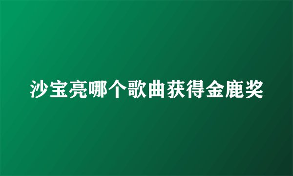 沙宝亮哪个歌曲获得金鹿奖