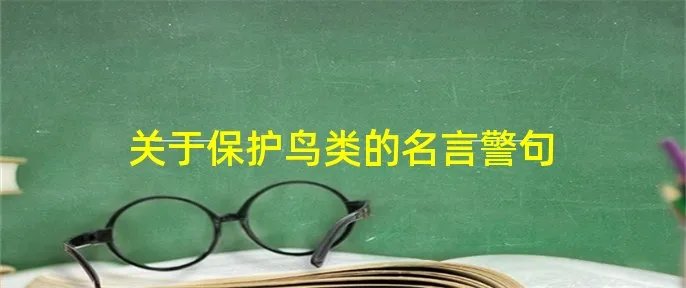 关于保护鸟类的名言警句