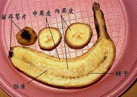 香蕉有黑色一大粒