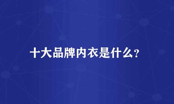 十大品牌内衣是什么?