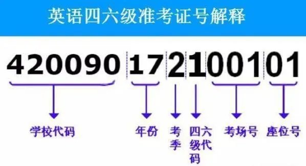 怎么根据身份证号码查六级准考证号?