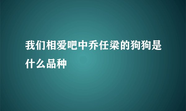 我们相爱吧中乔任梁的狗狗是什么品种