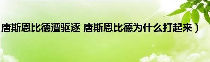 唐斯恩比德遭驱逐 唐斯恩比德为什么打起来）