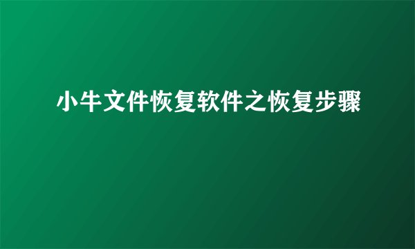 小牛文件恢复软件之恢复步骤