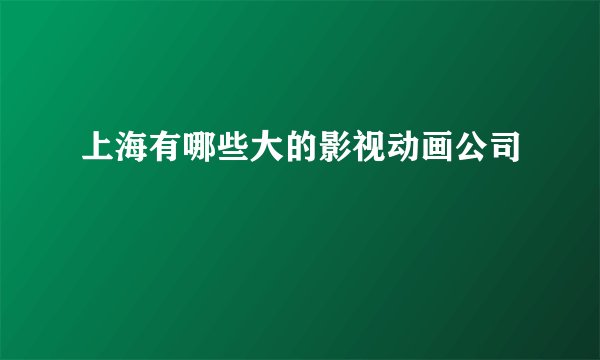 上海有哪些大的影视动画公司