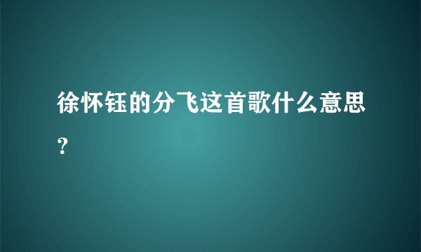 徐怀钰的分飞这首歌什么意思?
