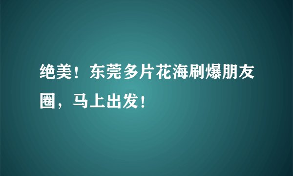 绝美！东莞多片花海刷爆朋友圈，马上出发！