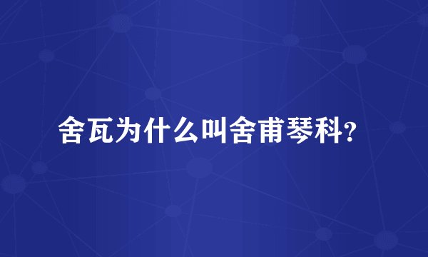 舍瓦为什么叫舍甫琴科？