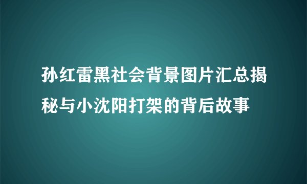 孙红雷黑社会背景图片汇总揭秘与小沈阳打架的背后故事