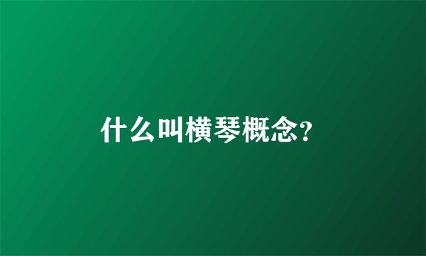 什么叫横琴概念？