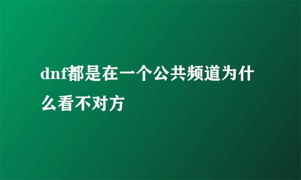 dnf都是在一个公共频道为什么看不对方