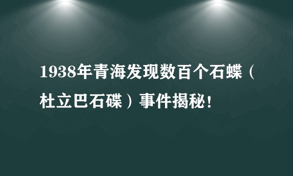 1938年青海发现数百个石蝶(杜立巴石碟)事件揭秘!