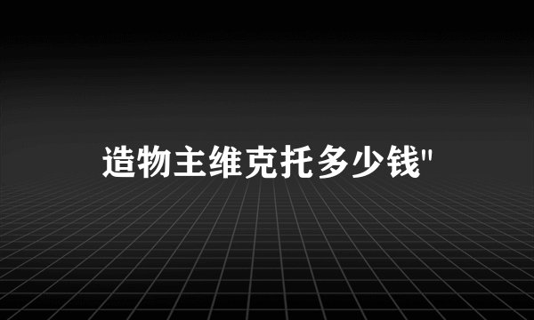 造物主维克托多少钱