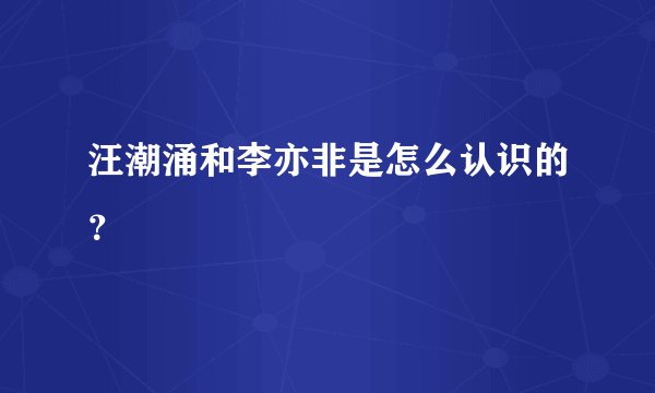 汪潮涌和李亦非是怎么认识的？