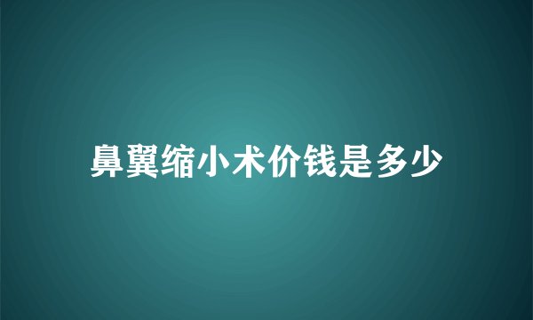 鼻翼缩小术价钱是多少