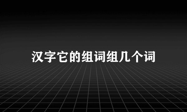 汉字它的组词组几个词