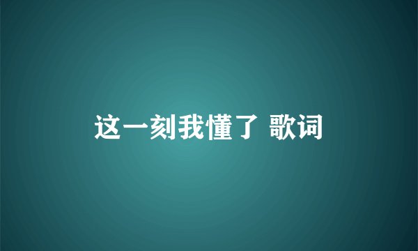 这一刻我懂了 歌词