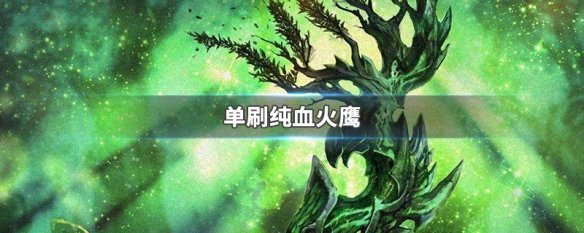 单刷纯血火鹰